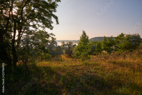 Natur am Geiseltalsee - einem ehemaligen Tagebau - in der Nähe von Merseburg, Sachsen-Anhalt, Deutschland..... © dina