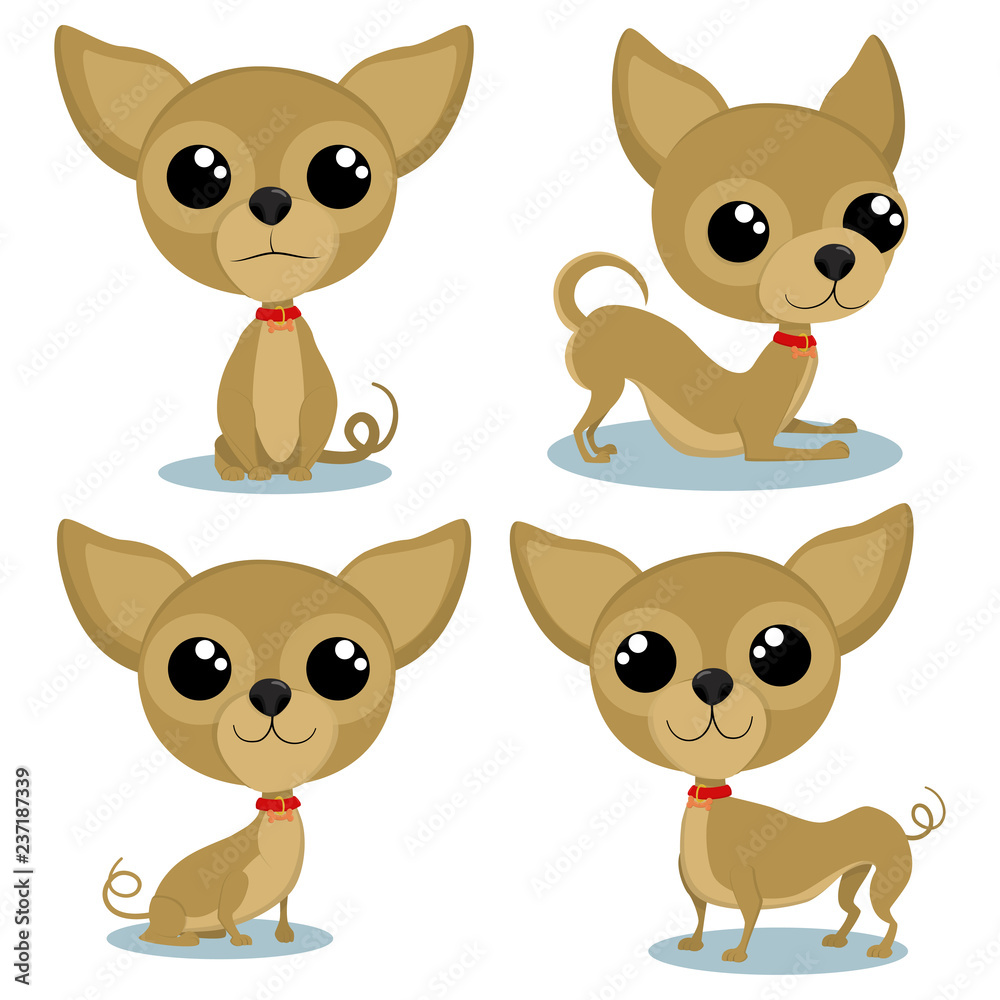 Chihuahua cartoon character in various poses. Cute little dogs vector set isolated on white background. Chihuahua cartoon character in various poses. Cute little dogs vector set isolated on white background.