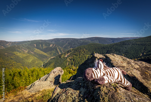 Stuffed toy zebra lying on Rysi skaly lookout over beautiful valley of Jeseniky, with Praded in the background