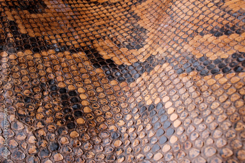 Vintage Close Up Dried Real Snake Skin Python Brown and Black