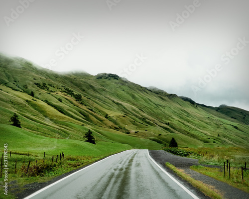 Road through the beautiful green scenery (ID: 237190343)