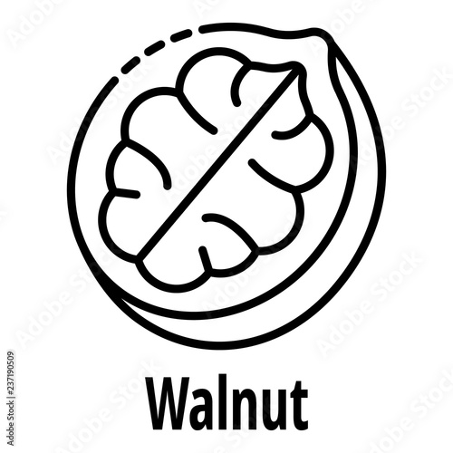 Walnut icon. Outline walnut vector icon for web design isolated on white background
