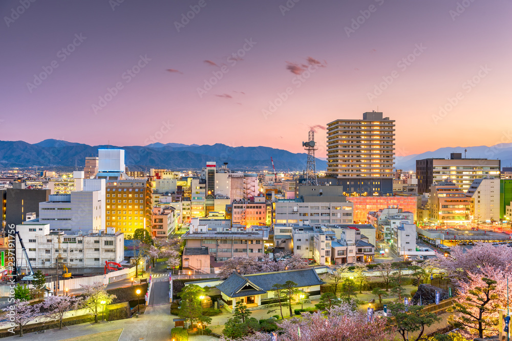 Kofu City, Japan Downtown Skyline at Dusk