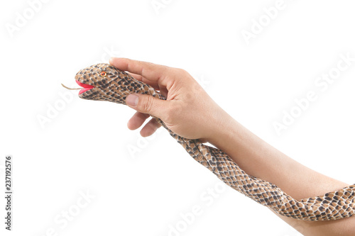 hand holding Snake toy made from brown fabric isolated on white background.
