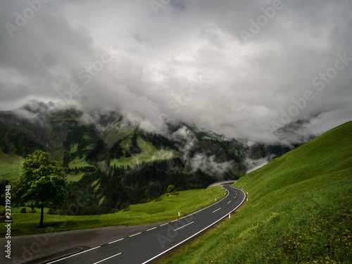 Road through the beautiful green scenery (ID: 237192948)
