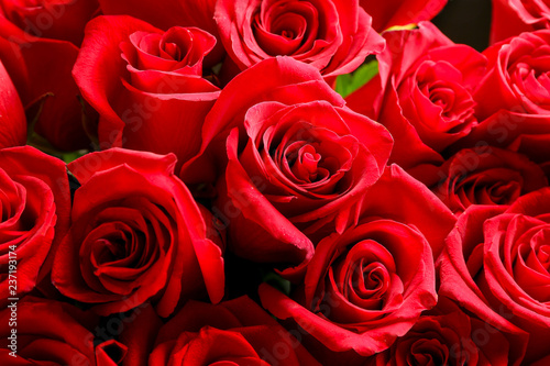 Bouquet of beautiful red roses  closeup