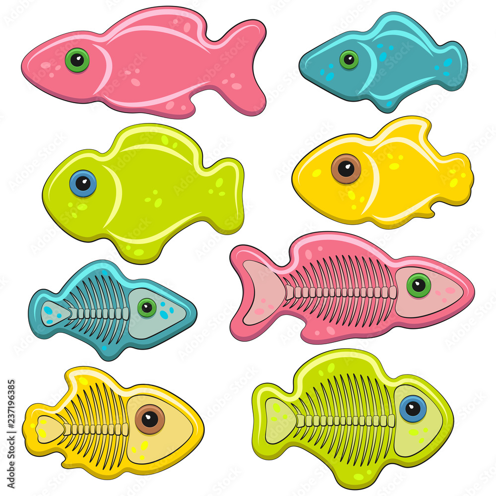 Naklejka premium Set of color illustrations of jelly fish with skeletons. Isolated vector objects on white background.