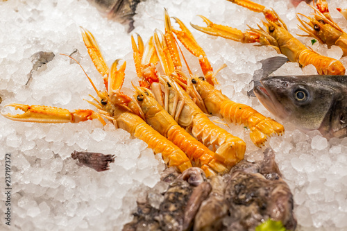 Large shrimps and fish head on display in bed of ice outside restaurant in Venice, Italy