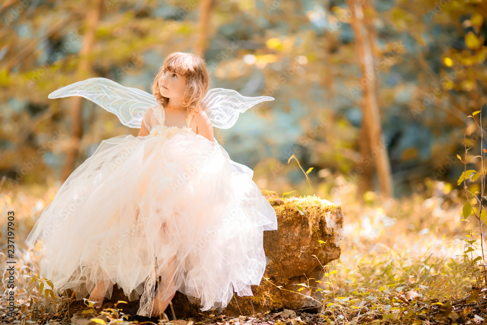 Fototapeta premium Koncepcja bajki. Mała dziewczynka berbeć jest ubranym piękną princess suknię z czarodziejskimi skrzydłami