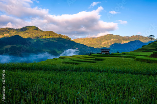 Sunrise on terraced rice paddy in Mu Cang Chai, Yen Bai province, Vietnam.
