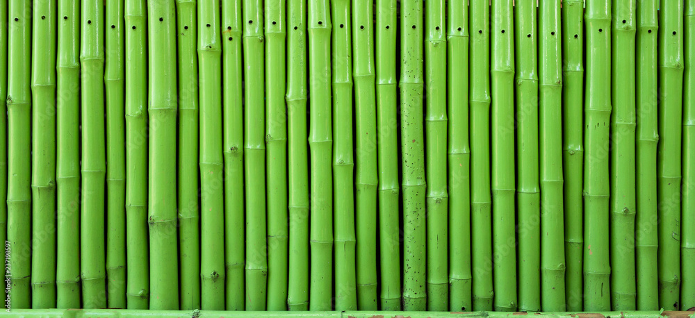 Naklejka Zielony Bambusowy Ogrodzenie