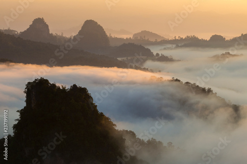 Morning sunrise over mist .