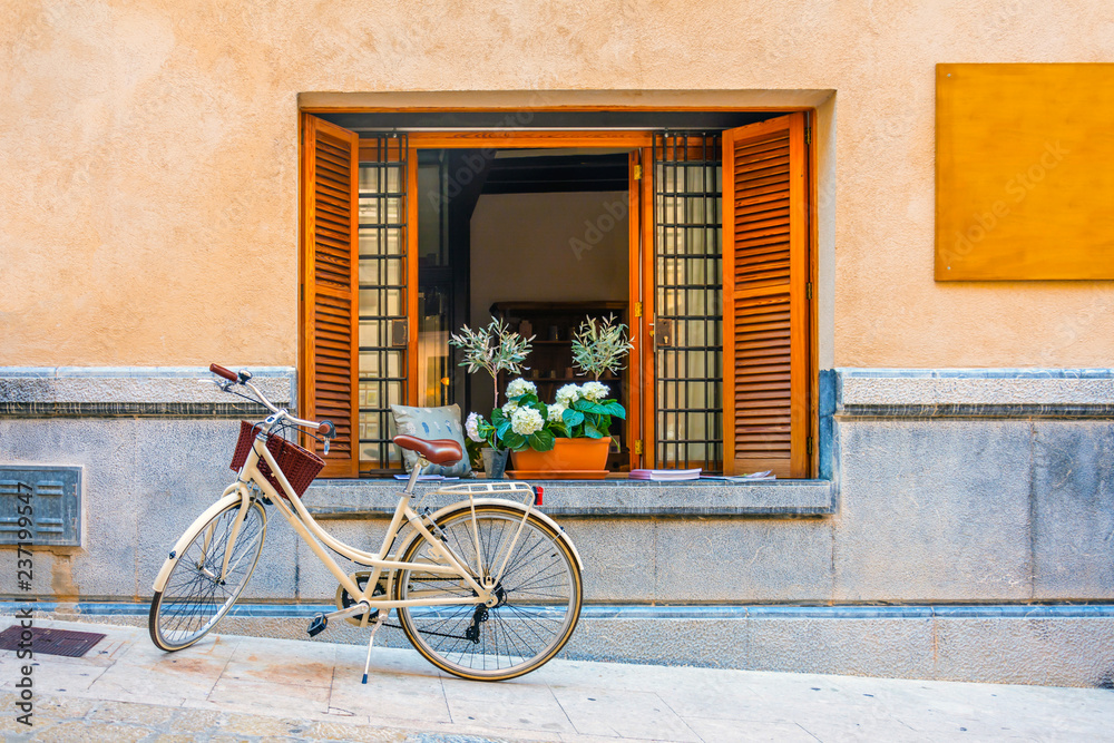 Window with brown wooden shutters, books and vases. Bicycle under the window