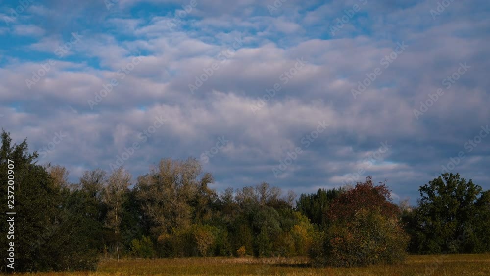 wind drives the clouds over the top of the trees in the hilly terrain. wind drives the clouds over the top of the trees in the hilly terrain.