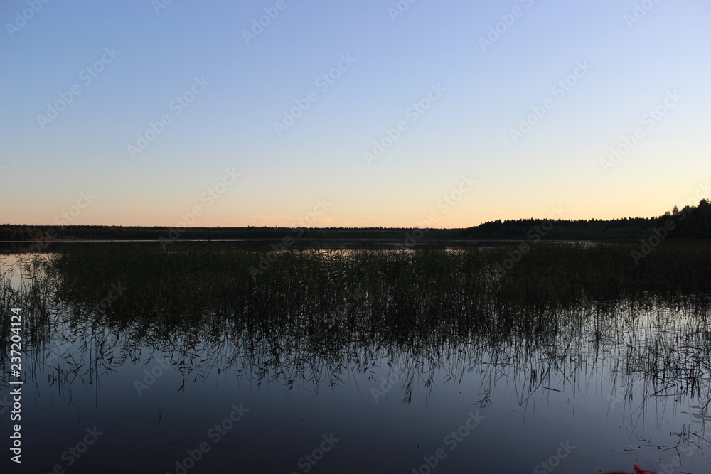 Obraz premium На озере