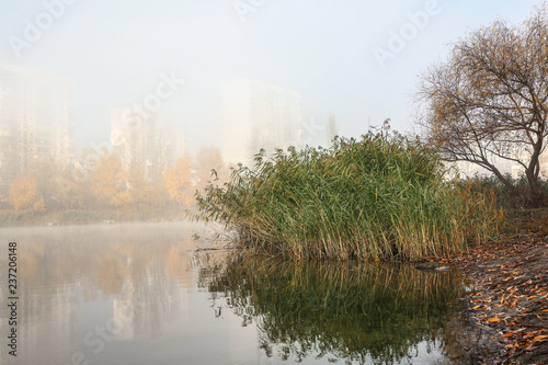 View of foggy pond in autumn morning