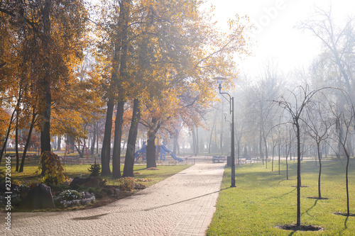 View of foggy autumn park in morning