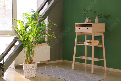 Interior of modern room with decorative Areca palm in pot photo