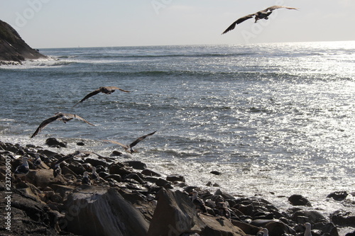 Fly Away