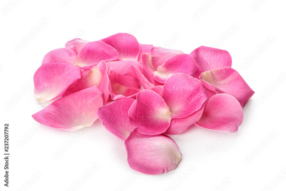 Beautiful rose petals on white background Beautiful rose petals on white background