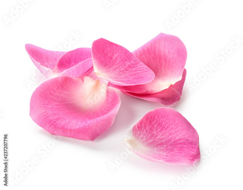 Beautiful rose petals on white background