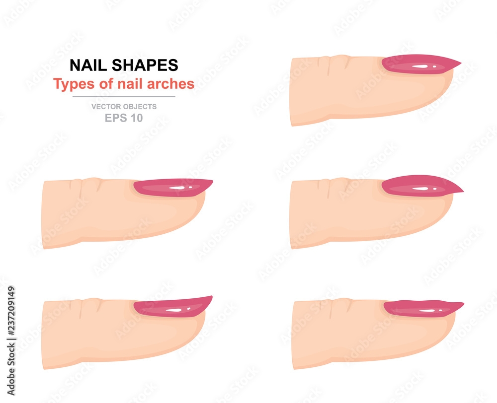 327 Different Nail Shapes Stock Photos, High-Res Pictures, and Images -  Getty Images