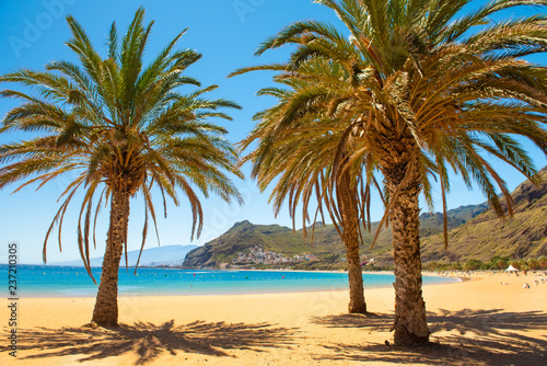 Fototapeta Naklejka Na Ścianę i Meble -  palm trees Playa las Teresitas Beach, Tenerife