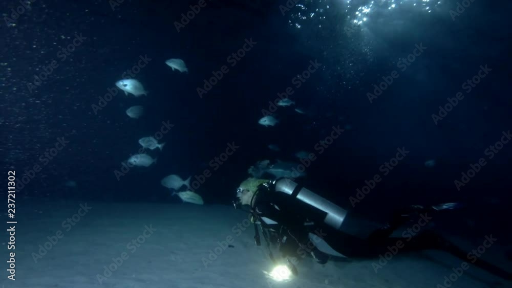 Female scuba diver swim over sandy bottom in the night, Indian Ocean, Maldives