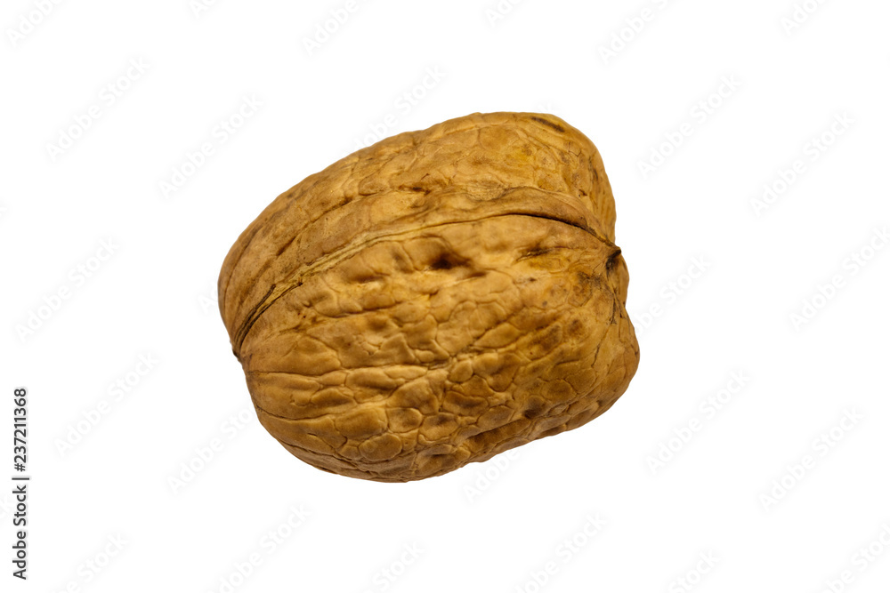 Single large walnut isolated on white background Single large walnut isolated on white background