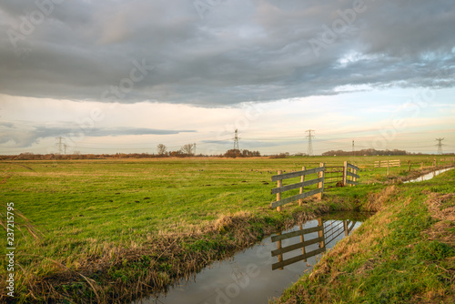 Dutch polder at the end of the afternoon © Ruud Morijn