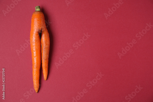 Fresh carrot on color background. Erotic concept