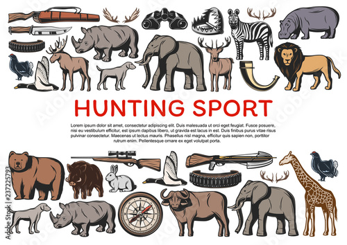 Animals and birds, weapons for hunting sport icons