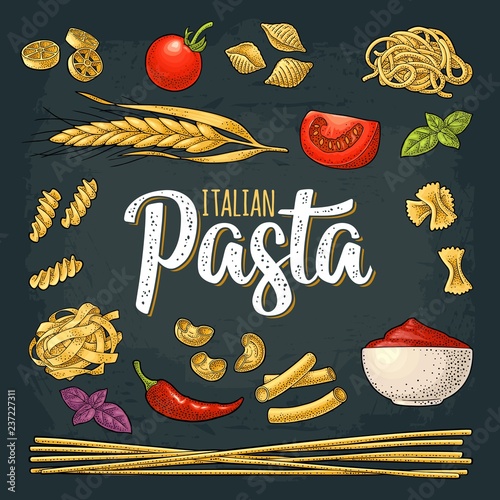 Different types macaroni and ITALIAN PASTA lettering. Vector engraving