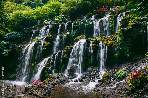 Cascade waterfall with red stones in tropical jungle. Bali  Indonesia.