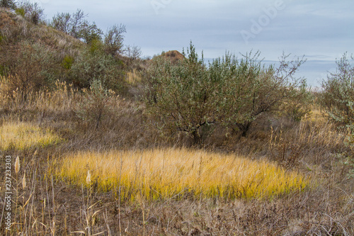 Autumn Tavrian steppe photo