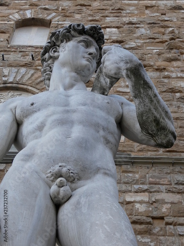 El David es una escultura de m  rmol blanco realizada por Miguel   ngel Buonarroti