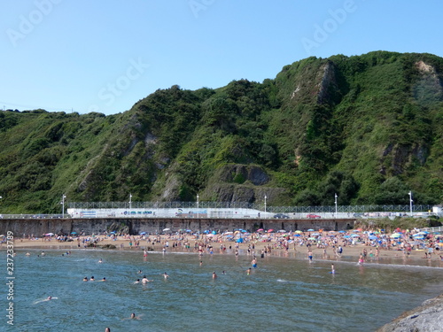 PLAYA PALMERA DE CAND  S ASTURIAS ESPA  A