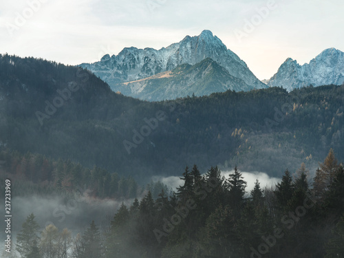 Hill and pine forest covered by misty, Hohenschwangau Germany