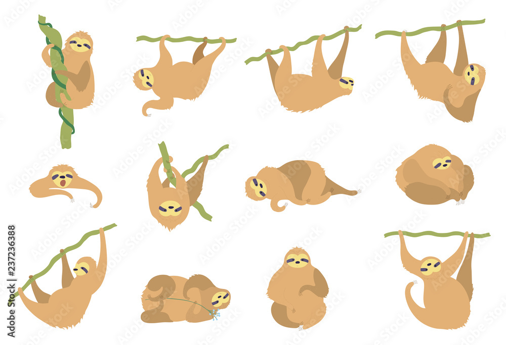 Fototapeta premium Vector illustration set of cute character sloth