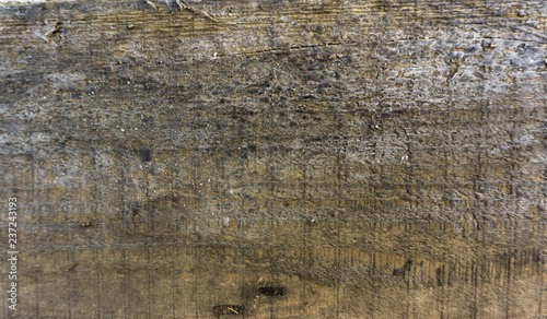 Stock macro photo of the texture of wood
