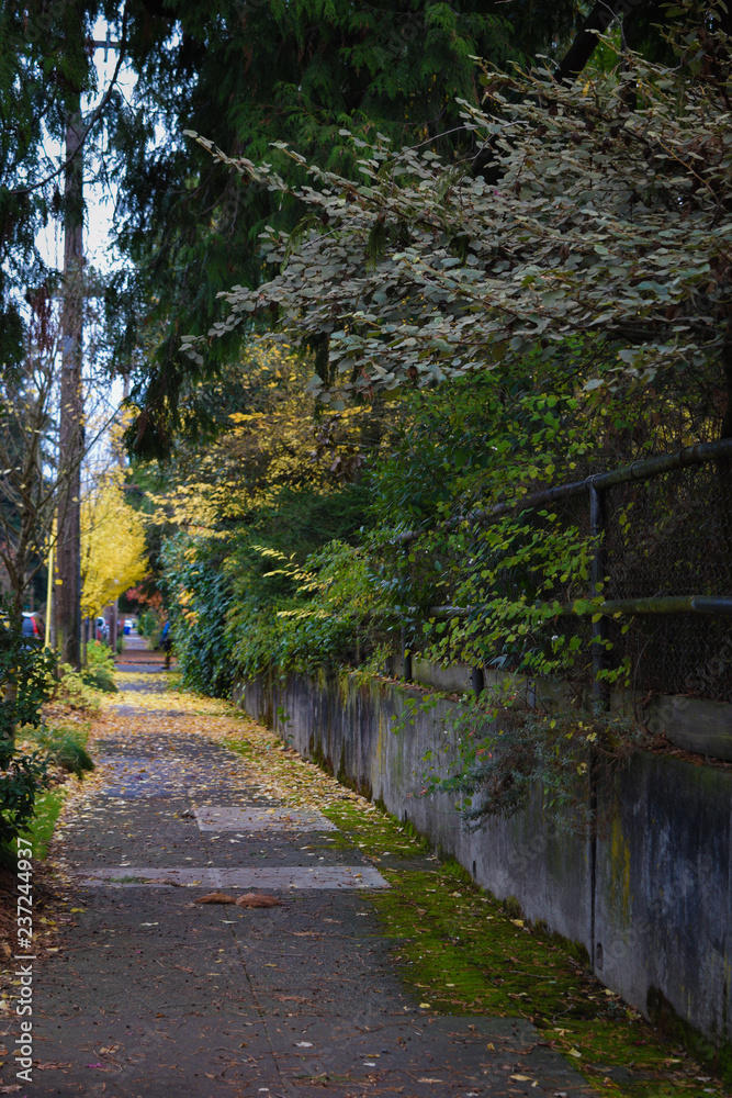 Fototapeta premium Footpaths and Sidewalks