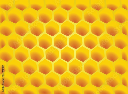 Honeycomb. vector illustration