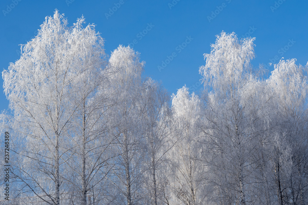 Winter frosty landscape in the early morning Winter frosty landscape in the early morning
