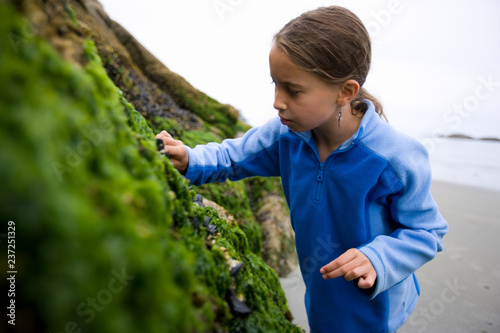 Young girl looking at shellfish on a mossy rock.