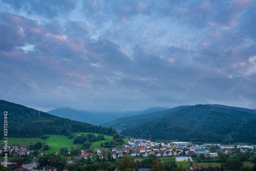 Germany, Cranes in development area of village Elzach in black forest nature