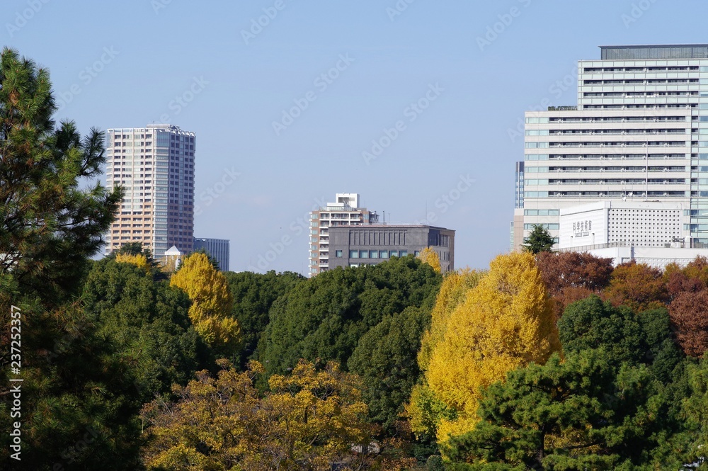 江戸城本丸跡から見た東京の都市景観