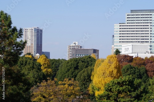 Fototapeta Naklejka Na Ścianę i Meble -  江戸城本丸跡から見た東京の都市景観