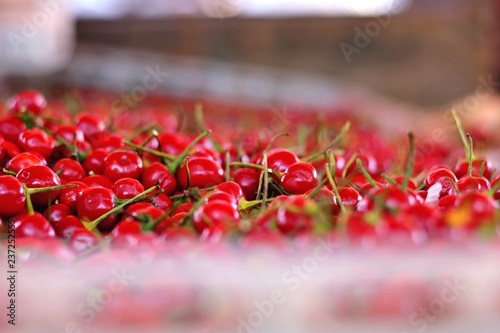 Frutas vermelhas