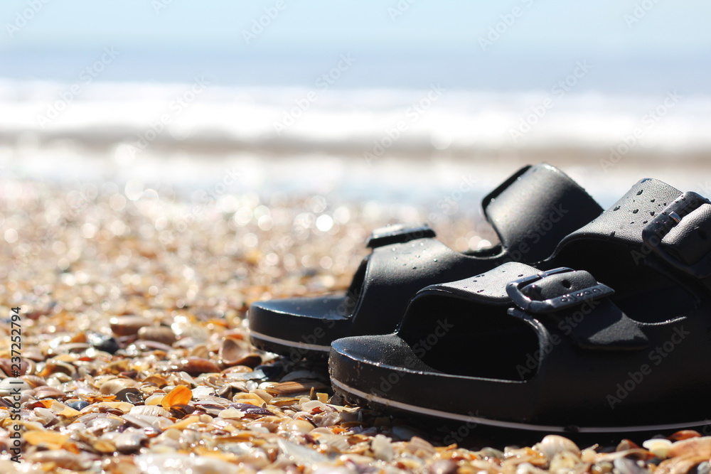 Férias de verão Férias de verão