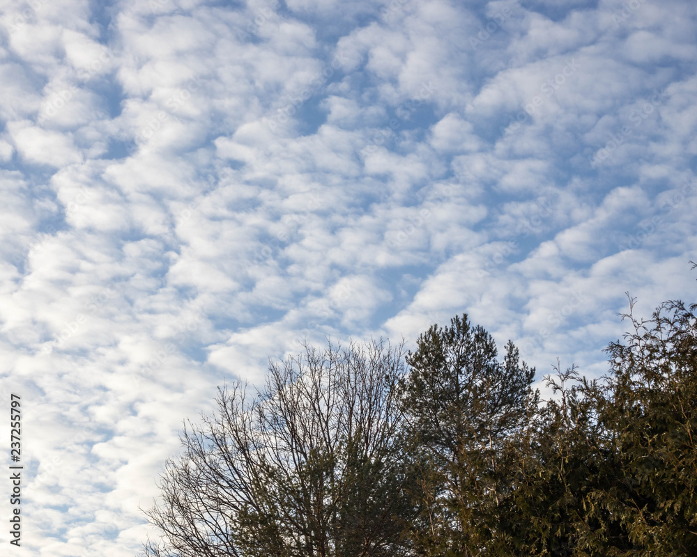 clouds clouds